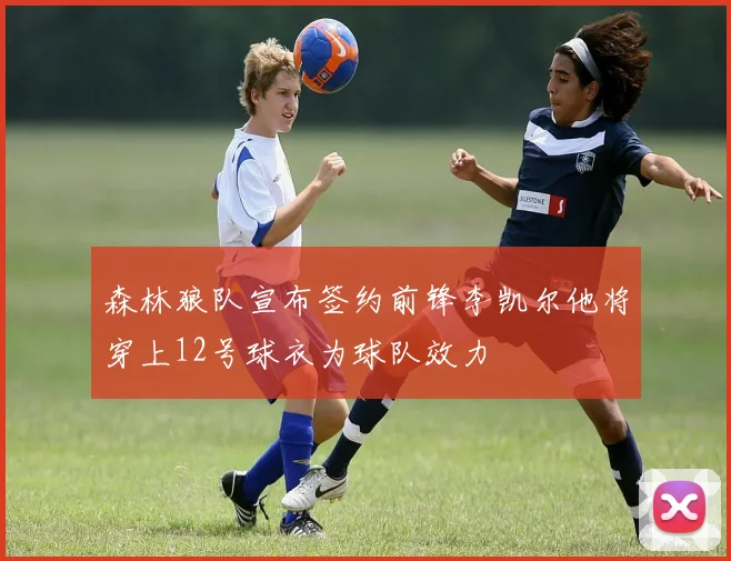 森林狼队宣布签约前锋李凯尔他将穿上12号球衣为球队效力