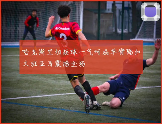 哈克斯空切接球一气呵成单臂隔扣文班亚马震撼全场