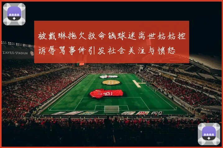 被戴琳拖欠救命钱球迷离世姑姑控诉辱骂事件引发社会关注与愤怒