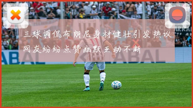 三球调侃布朗尼身材健壮引发热议网友纷纷点赞幽默互动不断
