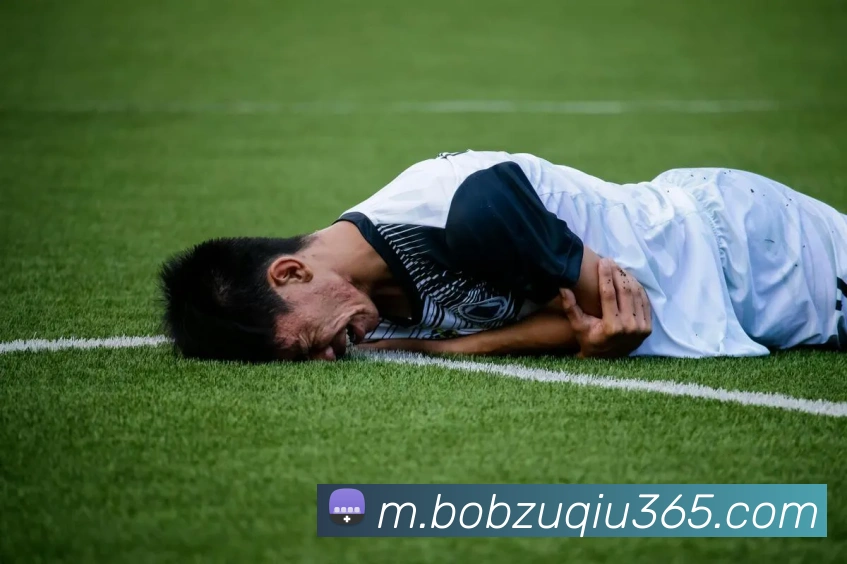 BOB体育平台生态图